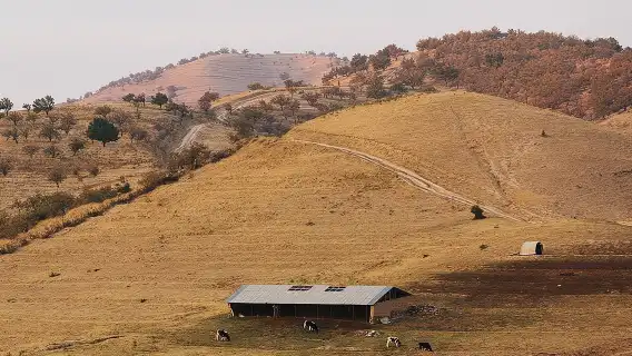 Heliocomplex "สถาบันแห่งดวงอาทิตย์" - ซากของสหภาพโซเวียต