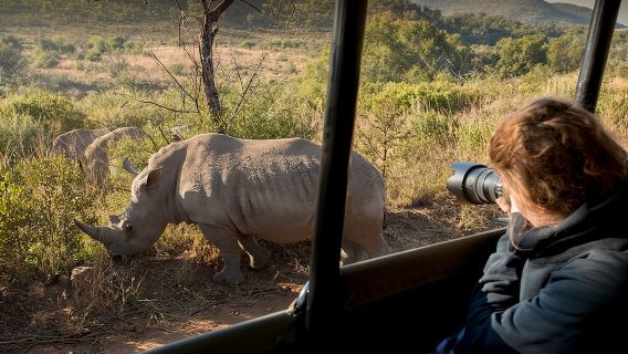 Full Day Ultimate Pilanesberg National Park Safari from Johannesburg or Pretoria