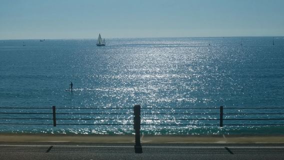 日本+東京+鐮倉+稻村崎一日遊/行程可調-可訂製多日遊