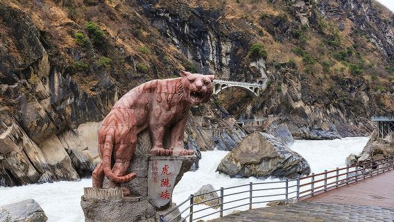 Servizio di un giorno in auto alla Gola del Salto della Tigre da Lijiang