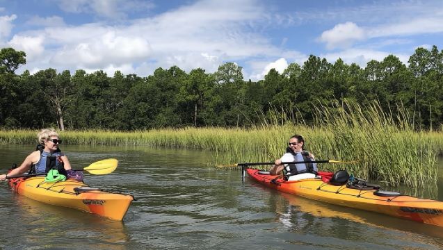 2-Hour Guided Kayak Eco Tour in Charleston