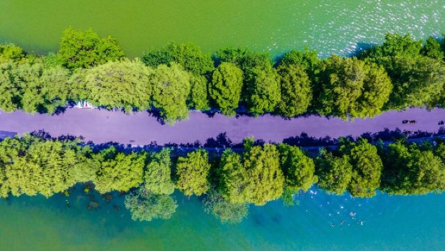 【懶睡不早起】古琴台+古德寺+黎黃陂路+山海關+可綠道騎行