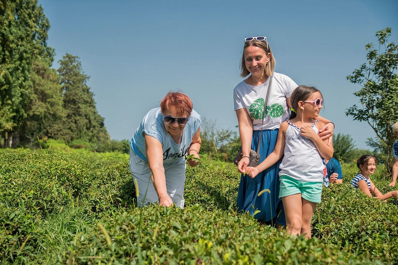 Segreti di longevità dell'Azerbaigian: tour a Lankaran e Astara