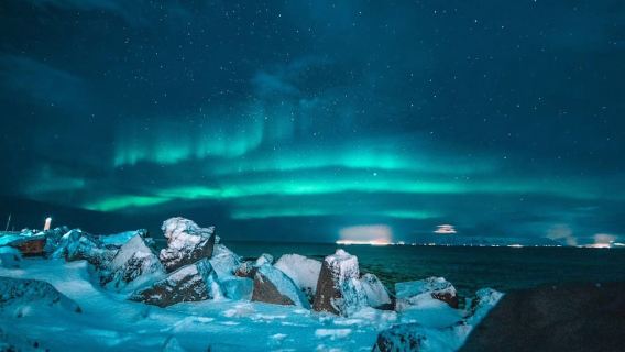 Sälen: Northern Lights Snowshoe Adventure with Pickup