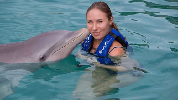 Riviera Maya: Trải nghiệm bơi cùng cá heo