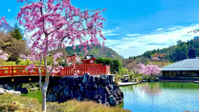 大阪：箕面市、勝尾寺及箕面瀑布全日遊