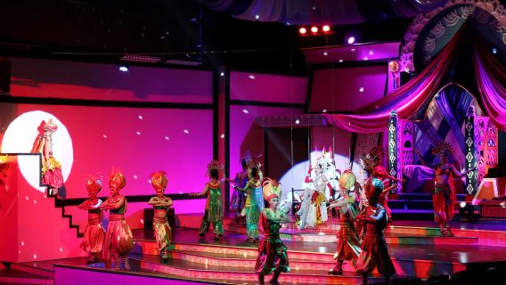 Chiang Mai: Miracle Cabaret with Private transfer