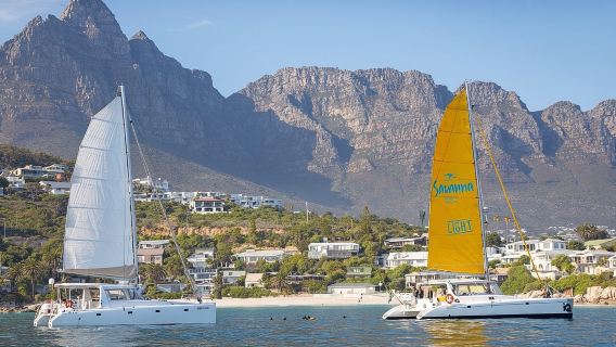 Catamaran Cruise in Cape Town