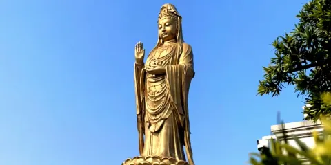 【祈願還願專線】可選15人精緻團》普陀山風景區旅行團一日遊