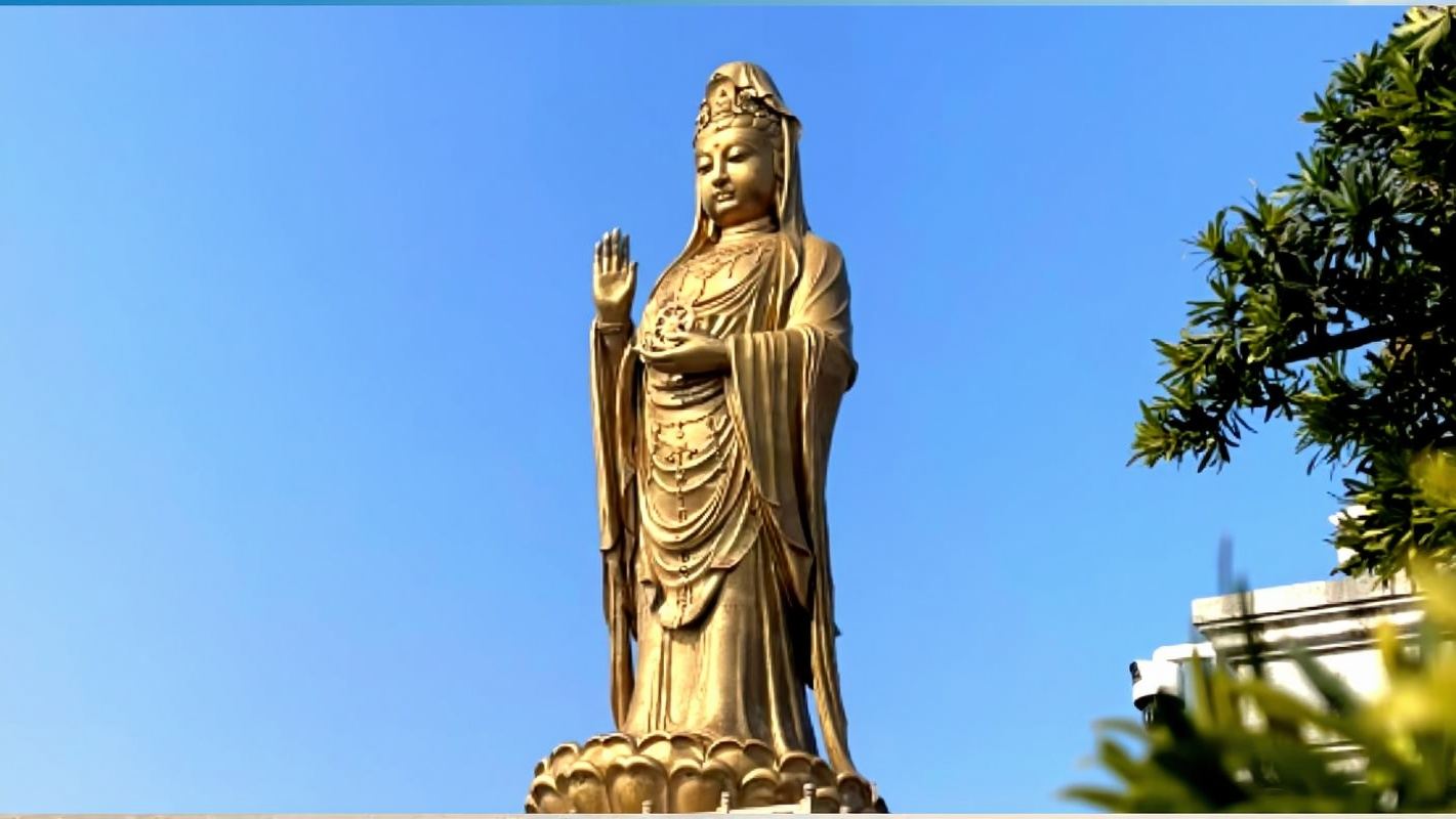 普陀山風景區一日遊【無購物·許願還願靜心之旅】純玩祈願專線