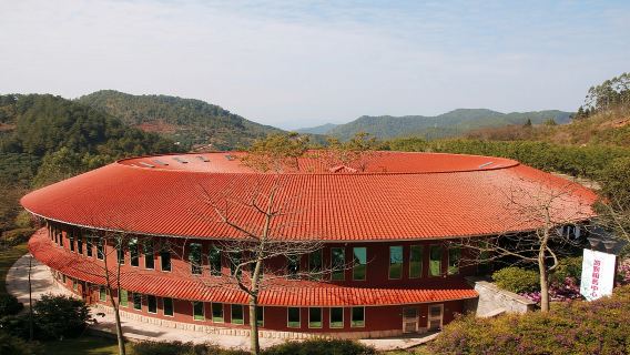 1-day private tour in Meizhou Yannanfei Tea Field Scenic Area Lingguang Temple Overseas Chinese Enclosed House Ye Shuai’s Former Residence
