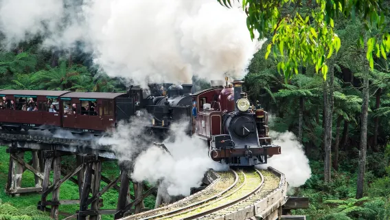 Australia Puffing Billy Steam Train + Healesville Animal Sanctuary [Including City Pickup]