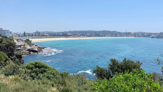 Tour privato della città di Sydney, del porto e di Bondi, con prelievo o rientro in aeroporto