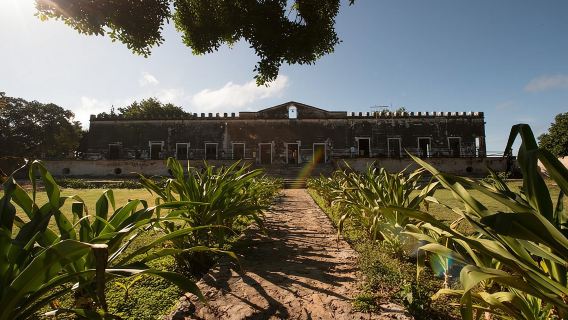 Yaxcopoil Hacienda, Uxmal & Cenote from Merida