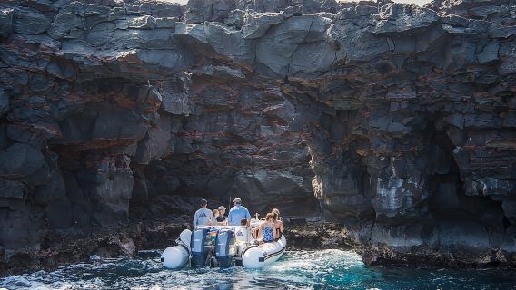 Deluxe Morning Snorkeling Adventure