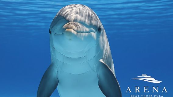 Fantastic DOLPHIN & SUNSET TOUR with dinner (Pula - NP BRIJUNI)