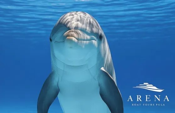 精彩的觀賞海豚及日落之旅連晚餐（普拉－布里俄尼國家公園）