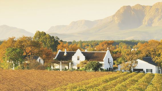 Cape Town