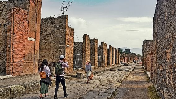 From Rome: Best of Pompeii Guided Tour and Sorrento Day Trip