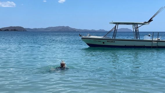 Private Snorkeling Tour by boat in Flamingo Beach