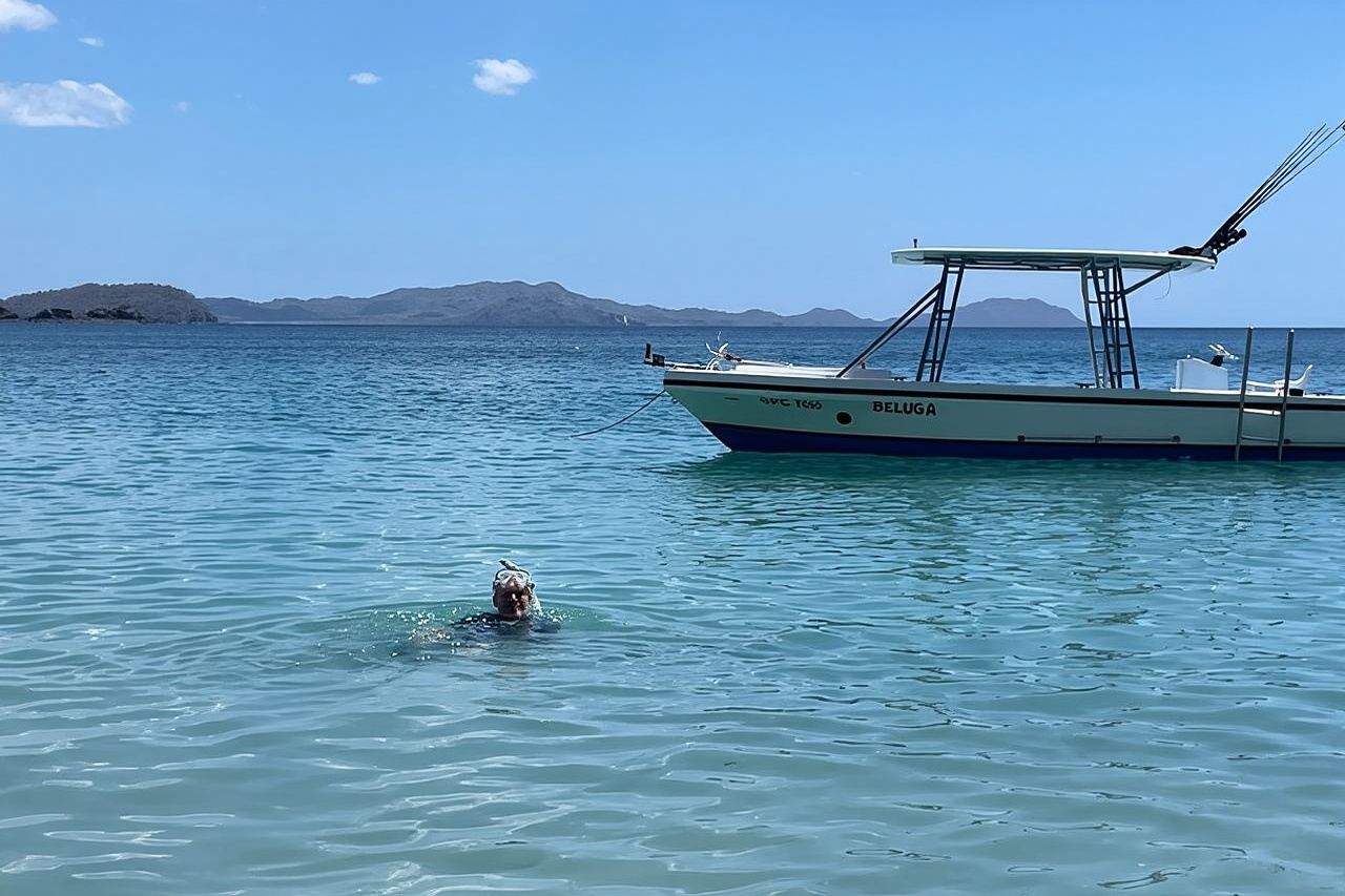 Tour privado de snorkel en barco en Playa Flamingo