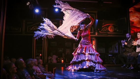 Authentic Flamenco Show at the Málaga Club Flamenco Theatre