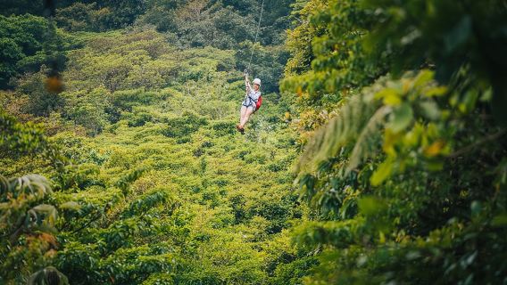 塞爾瓦圖拉公園黃金套餐（樹冠和吊橋）