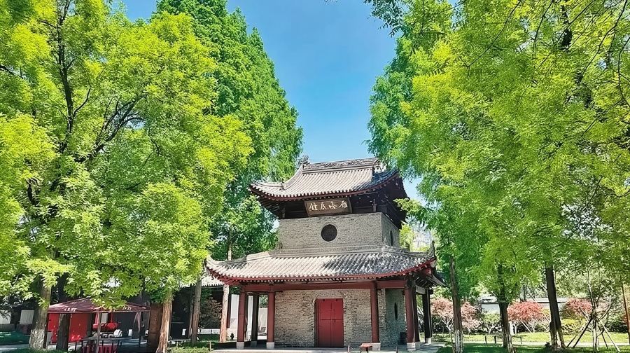 文物知音・西安博物院半日遊【資深講師/印章打卡/含景區門票】