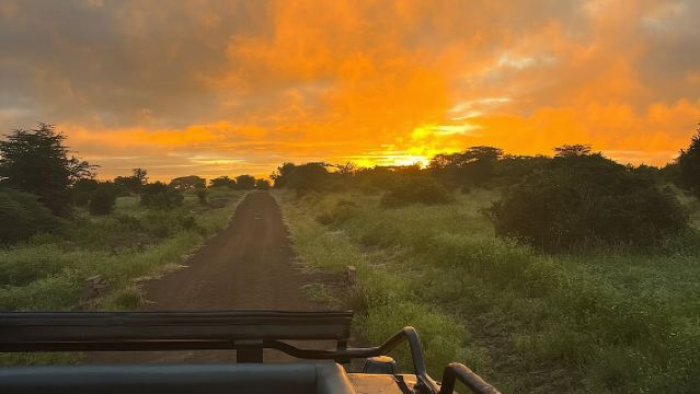 ナイロビ国立公園でのランドクルーザージープによるデイリーゲームドライブ。