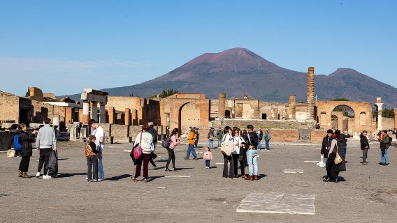 Da Napoli: Visita guidata di Pompei con ingresso salta fila - Piccoli gruppi