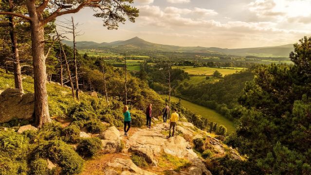 Dublin to Wicklow, Glendalough Small Group Tour with Guided Walk 