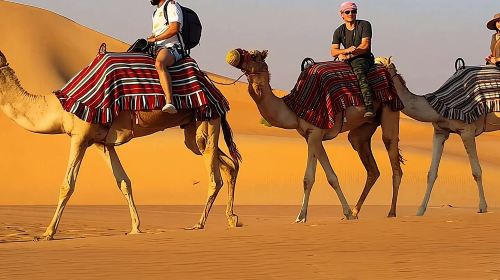 Desert Safari Dubai Enjoy The Adventure Of Evening In Red Sand 2
