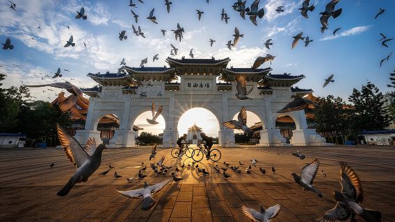 Taipei City Morning Tour with National Palace Museum entry