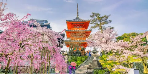 日本+眼鏡橋+長崎原爆資料館+端島(軍艦島)+平和公園+荷蘭坡一日