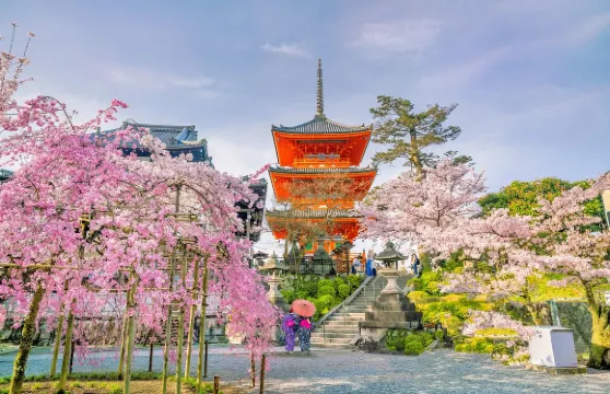 日本+眼鏡橋+長崎原爆資料館+端島(軍艦島)+平和公園+荷蘭坡一日