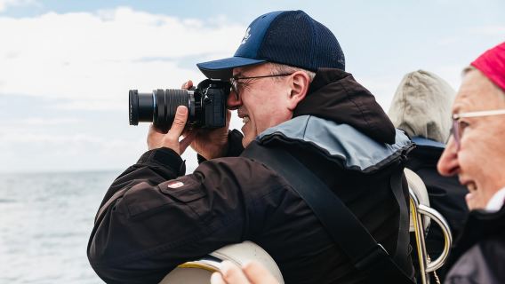 Lisbona: tour in barca per l'avvistamento dei delfini del Parco Naturale di Arrábida