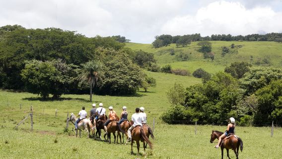 Thẻ phiêu lưu một ngày tại Công viên thiên nhiên Vida Aventura