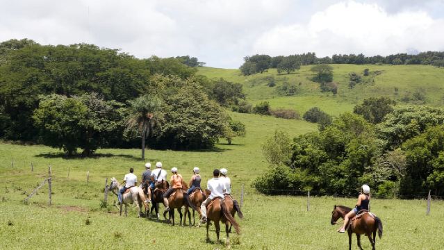Pase de Aventura de un Día en el Parque Natural Vida Aventura