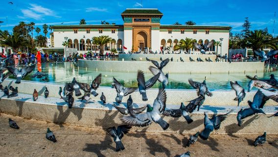 Casablanca: Tôn giáo của Maroc với chuyến thăm Nhà thờ Hồi giáo Hassan II