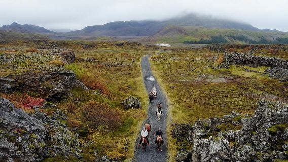 Dari Reykjavík: Tur Menunggang Kuda Viking di Hafnarfjörður