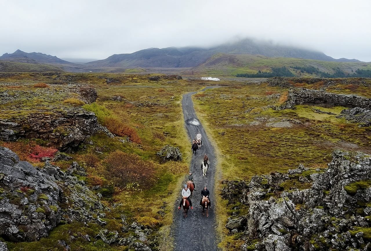 From Reykjavík: Viking Horseback Tour in Hafnarfjörður