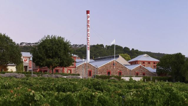 南澳奔富酒莊+粉湖一日遊【11人團+中文司導+市區酒店接送】