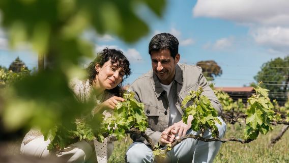 Familia Torres Winery: Gastronomic Tapas & Wine Experience