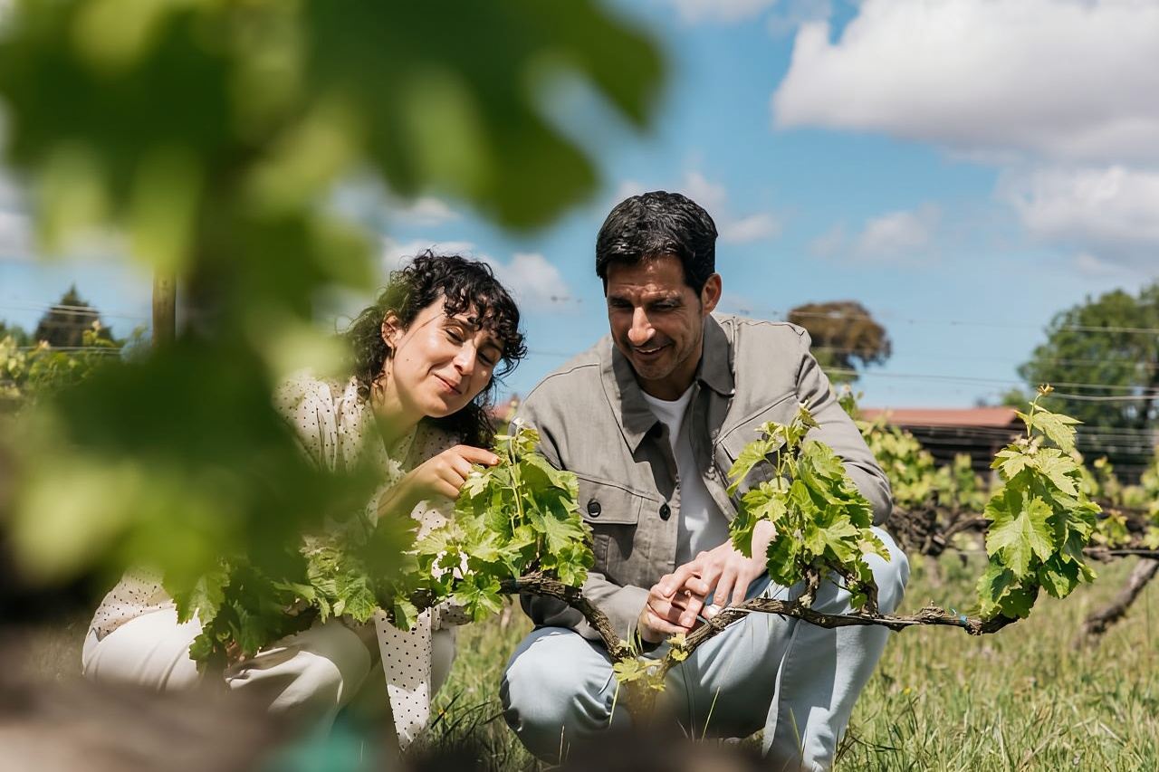 Cantina Familia Torres: esperienza gastronomica di tapas e vino