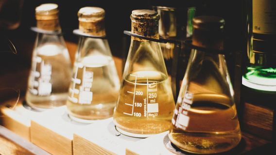 Dublin: Skip-the-Line Guinness and Jameson Whiskey Tour