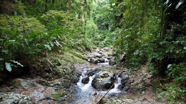 Cascada Argyle con Granja de Aventuras