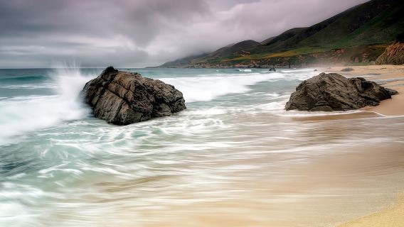 Redwoods, California Coast, & Sausalito Tour