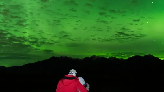 Anchorage: Nighttime Northern Lights Tour
