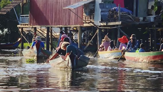 Tour di mezza giornata al lago Tonlé Sap a Siem Reap, Cambogia [include biglietto per la barca del lago Tonlé Sap]