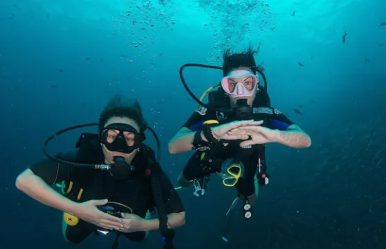 La Bombona 潛水濤島開放水域課程